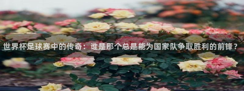 世界杯直播平台：世界杯足球赛中的传奇：谁是那个总是能为国家队争取胜利的前锋？