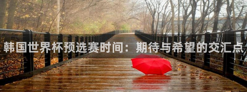 世界杯第一场比赛：韩国世界杯预选赛时间：期待与希望的交汇点