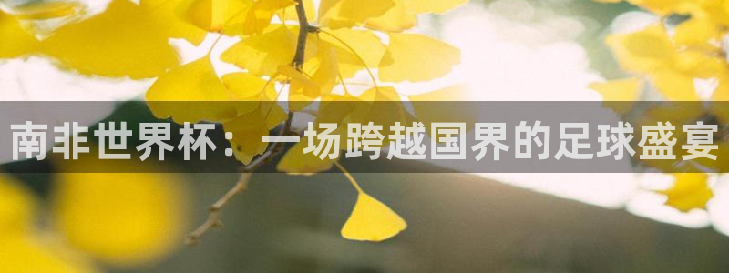 预选赛世界杯：南非世界杯：一场跨越国界的足球盛宴