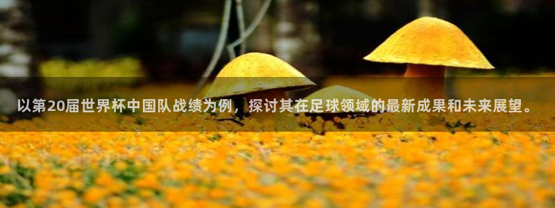 世界杯女足直播：以第20届世界杯中国队战绩为例，探讨其在足球领域的最新成果和未来展望。