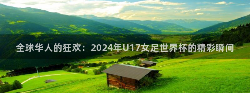 世界杯官网入口：全球华人的狂欢：2024年U17女足世界杯的精彩瞬间
