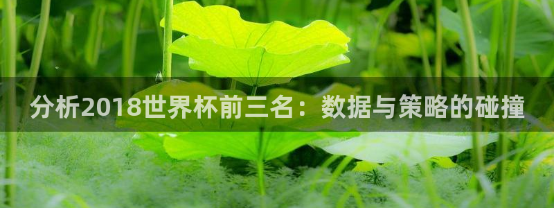 2026世界杯对阵图：分析2018世界杯前三名：数据与策略的碰撞