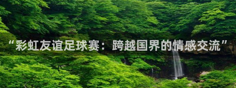 2026世界杯赛：“彩虹友谊足球赛：跨越国界的情感交流”