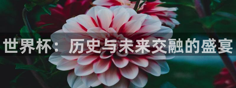 世界杯比赛赛程：世界杯：历史与未来交融的盛宴