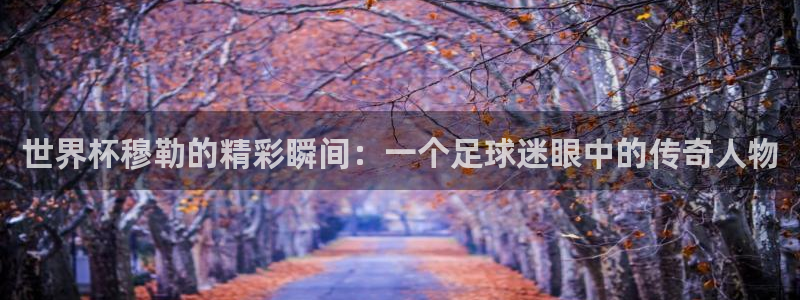 今年的世界杯：世界杯穆勒的精彩瞬间：一个足球迷眼中的传奇人物