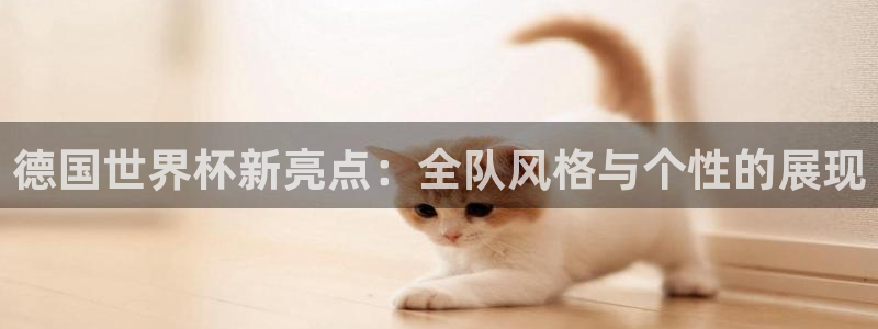 世界杯球队：德国世界杯新亮点：全队风格与个性的展现
