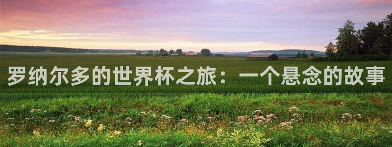 世界杯决赛直播：罗纳尔多的世界杯之旅：一个悬念的故事