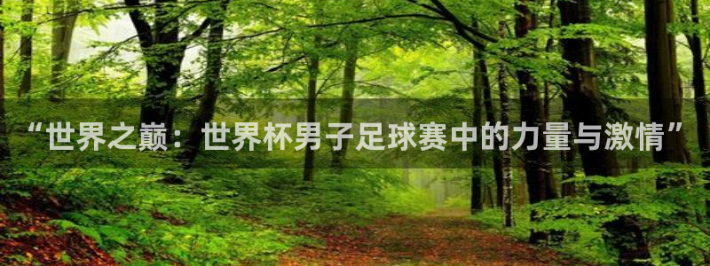 世界杯预选赛欧洲赛区积分榜：“世界之巅：世界杯男子足球赛中的力量与激情”
