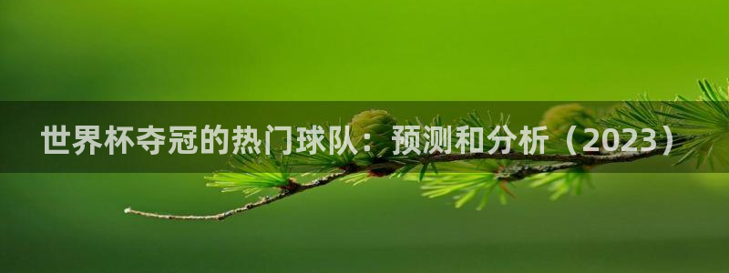2026世界杯中国队：世界杯夺冠的热门球队：预测和分析（2023）