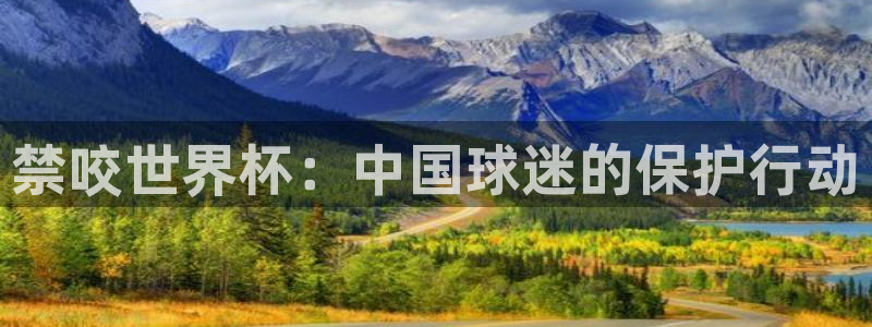 世界杯小组赛赛程：禁咬世界杯：中国球迷的保护行动